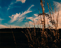 商业授权正版的云呼官方