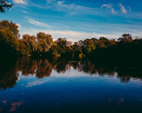 在线免费轰炸电话网页版