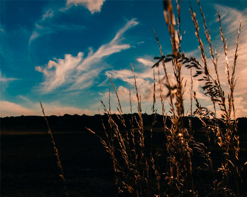 在线接收短信验证码